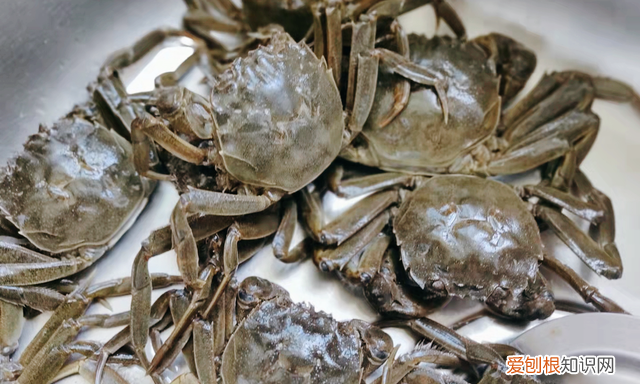 凉水煮螃蟹的正确方法煮几分钟