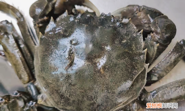 凉水煮螃蟹的正确方法煮几分钟