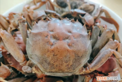 凉水煮螃蟹的正确方法煮几分钟