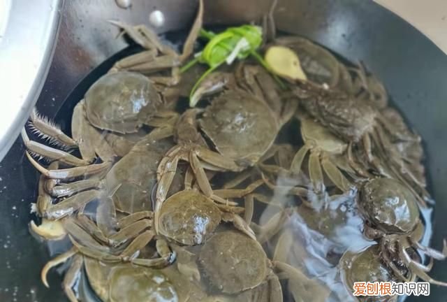 凉水煮螃蟹的正确方法煮几分钟