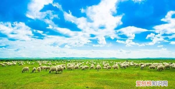 敕勒歌古诗诵读视频，敕勒歌点睛之笔是哪一句