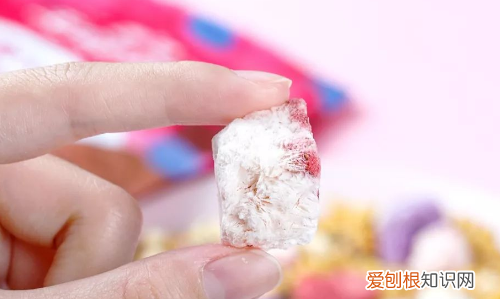 虫子零食什么梗,小零食什么意思