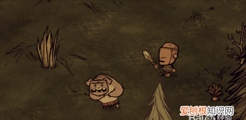 饥荒如何圈养猪，饥荒联机版猪人房怎么建