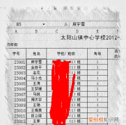 excel按姓氏怎么排序