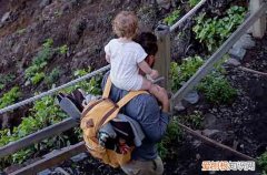 2023父亲节送什么花给爸爸好 父亲节送花可选择什么花