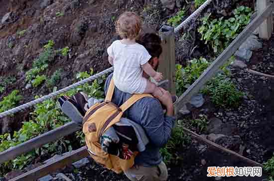 2023父亲节送什么花给爸爸好 父亲节送花可选择什么花