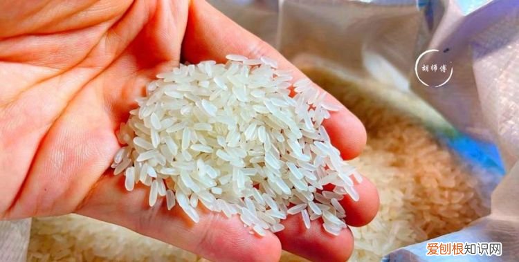 为什么超市大米不生虫,为什么有的超市卖的红豆不生虫子