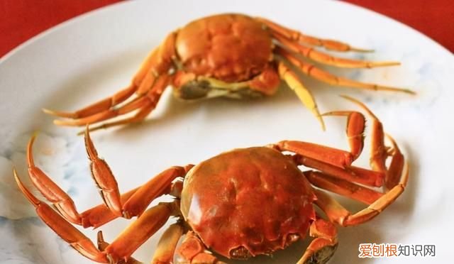 怎样保存螃蟹放一周都是鲜活的,怎么保存螃蟹才能存放更久一些