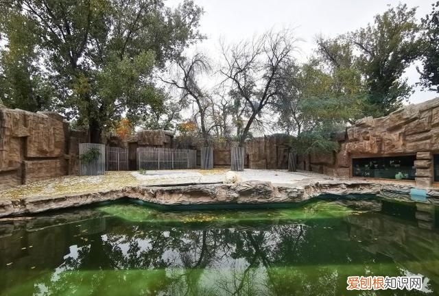 vivox30pro和vivox30建议买吗 vivo x30 pro缺点