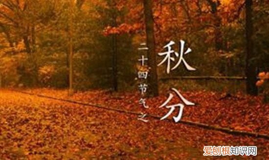 秋分是什么时候，秋分是什么季节