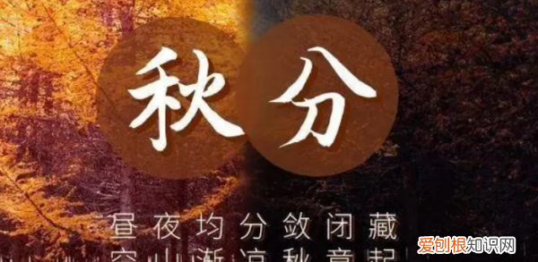 秋分是什么时候，秋分是什么季节