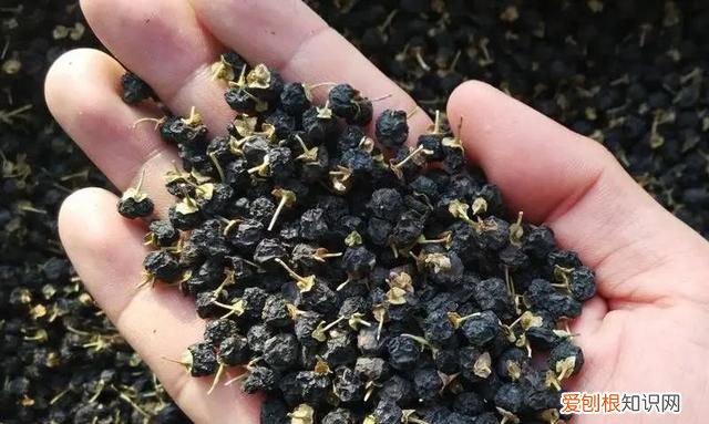 想做好看又健康的烘焙,这些天然色素了解一下怎么写