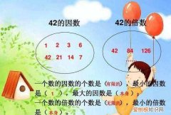 乘数为什么叫因数，在乘法里乘数也叫做什么数