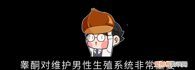 吃板栗有什么好处板栗应该怎样吃