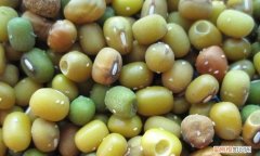 怎样知道绿豆坏了，绿豆拉丝是不是坏了