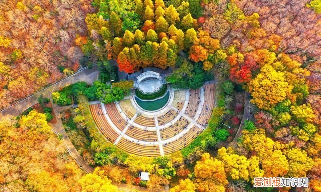 南京旅游必须去的地方推荐,南京旅游攻略必去的10个地方