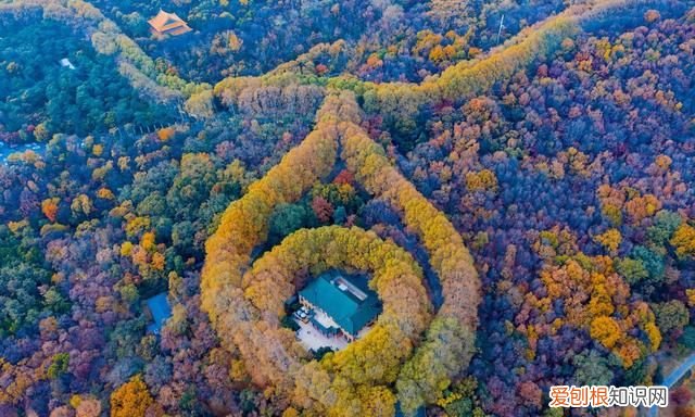南京旅游必须去的地方推荐,南京旅游攻略必去的10个地方