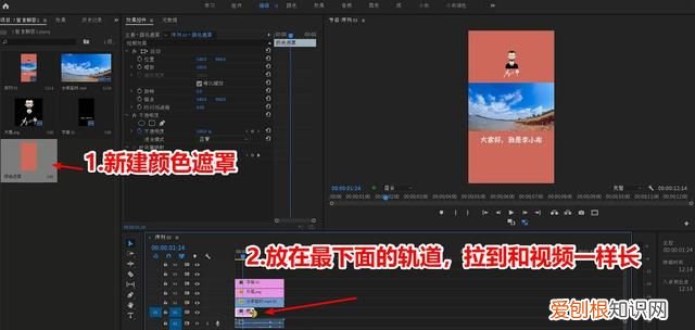 pr播放后点暂停显示屏就黑屏 pr竖版怎么设置