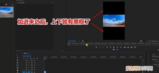 pr播放后点暂停显示屏就黑屏 pr竖版怎么设置