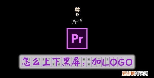 pr播放后点暂停显示屏就黑屏 pr竖版怎么设置