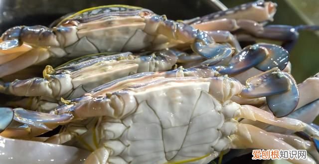 吃不完的螃蟹可以放冰箱保鲜吗