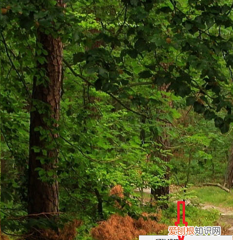 怎么看电脑ip地址，怎么查询自己电脑的ip地址查询