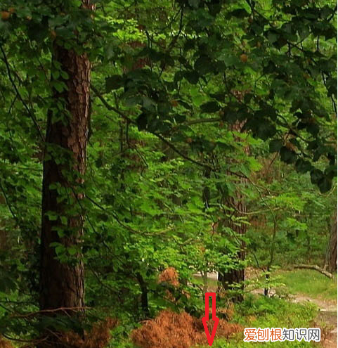 怎么看电脑ip地址，怎么查询自己电脑的ip地址查询