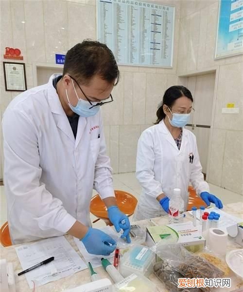 广西大月饼开口吃不完怎么保存