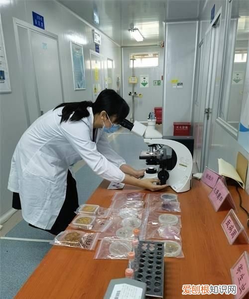 广西大月饼开口吃不完怎么保存