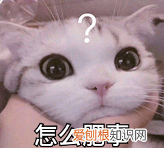 隔夜的奶茶该怎么才能继续喝,喝了隔夜奶茶最严重的后果会怎样