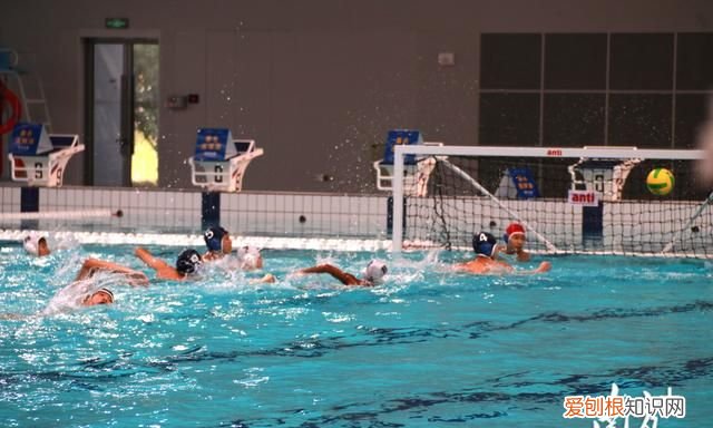 省运会水球比赛在清远揭幕