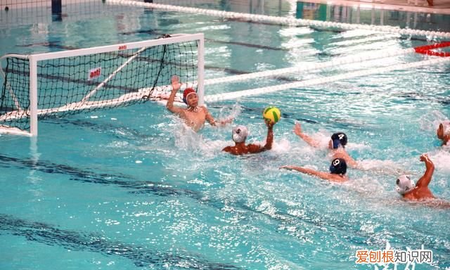 省运会水球比赛在清远揭幕