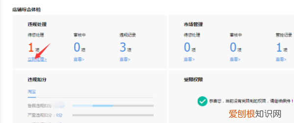 拼多多商家版怎么开店，卖家中心违规记录怎么处理
