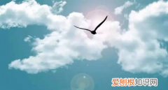 城郊融合类村庄是啥意思，城郊融合类村庄什么意思