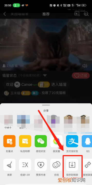 怎样微博，怎么微博上的视频下载下来