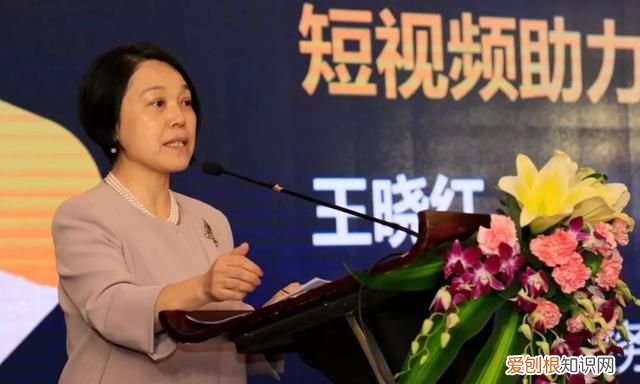 短传播特点及存在现状