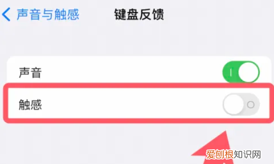 苹果怎么设置振动模式，iphone震动在哪里设置ios16