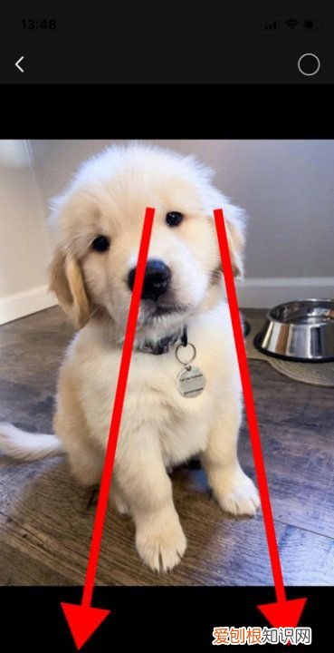 qq闪图功能在哪里，qq的闪图在哪个位置保存