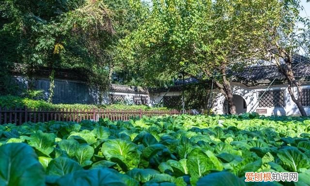 绍兴最值得去的景点旅游攻略,绍兴旅游必去十大景点推荐一下