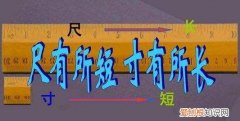 尺有所短寸有所长的意思，尺有所短寸有所长的意思是什么
