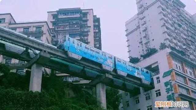 来重庆旅游必去的几大景点有哪些