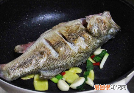 如何做家常红烧鲈鱼，红烧鲈鱼的做法怎么做最好吃视频