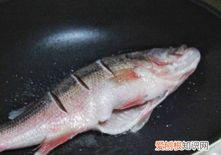 如何做家常红烧鲈鱼，红烧鲈鱼的做法怎么做最好吃视频