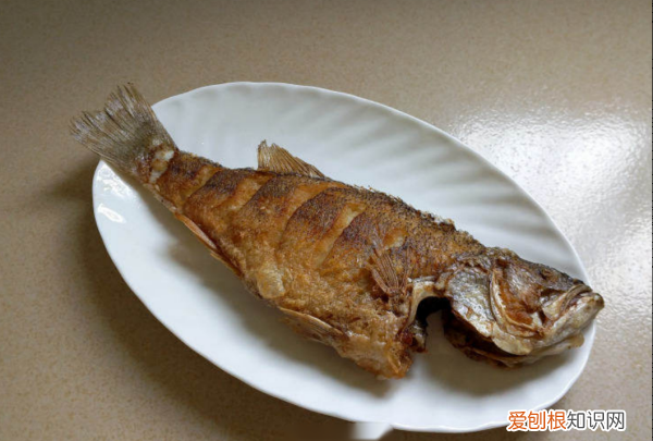 如何做家常红烧鲈鱼，红烧鲈鱼的做法怎么做最好吃视频