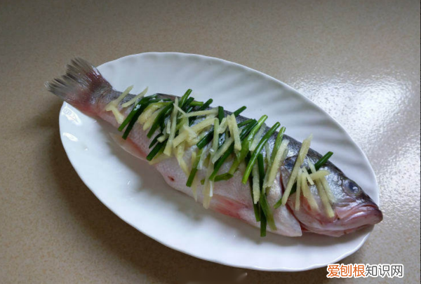 如何做家常红烧鲈鱼，红烧鲈鱼的做法怎么做最好吃视频