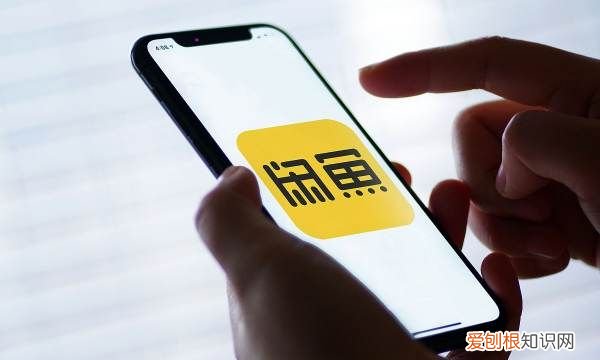 如何注册闲鱼账号，支付宝注册登录闲鱼用验证码吗
