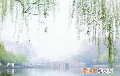 从哪些现象中感受到风，关于风的科学知识有哪些?