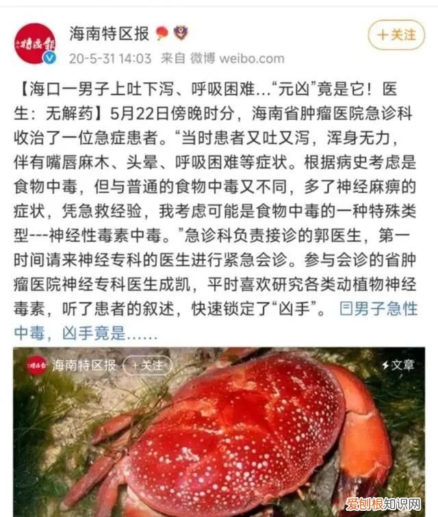 有毒螃蟹面包蟹 面包蟹跟有毒螃蟹的区别