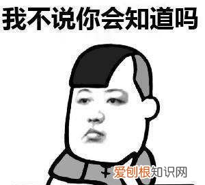 iphone通话怎么录音，苹果手机怎么样录视频
