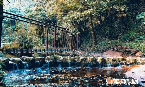 邛崃市有哪些旅游景点，邛崃周边一日游最佳景点